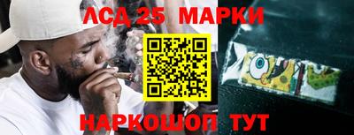 скорость Новозыбков