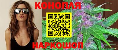 скорость Новозыбков