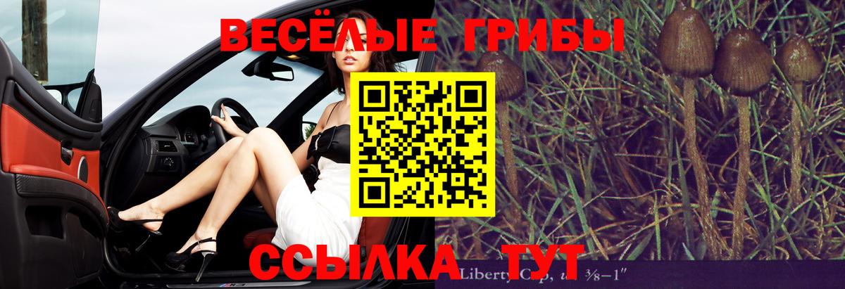 Галлюциногенные грибы мицелий Арзамас